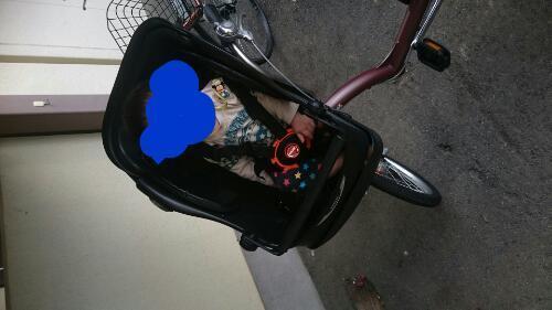 子供乗せ自転車（購入から一年未満）※条件によって値下げ交渉可