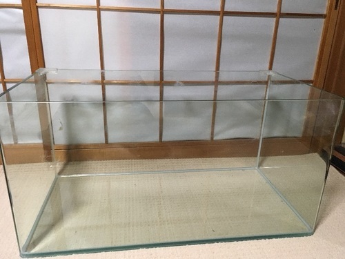 90センチ水槽水