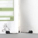 【譲渡済】 ご購入者様決定品　うさぎと暮らす 付録