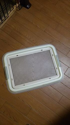わんちゃんスターターセット