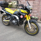 ヤマハ ＴＤＲ２５０ １９８５年 2スト４５ｐｓ走行不明 ...