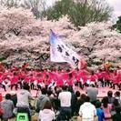 【よさこい祭り！社会人メンバー募集！80人!】