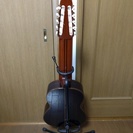 クラシックギター：広瀬 達彦の10弦ギターです（中古）