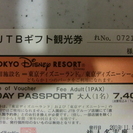 ディズニーリゾートパスポート 大人ペアチケット