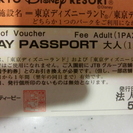 ディズニーリゾートパスポート 大人ペアチケット