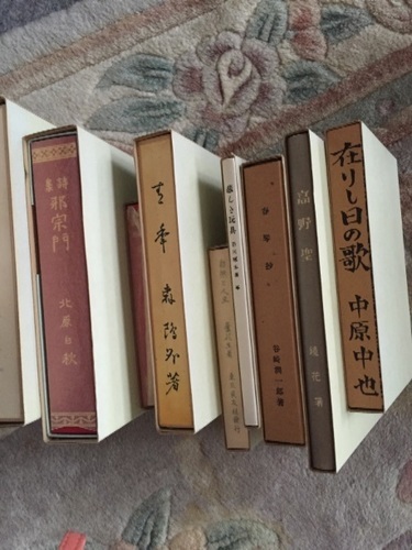 名著復刻版近代文学全集33巻