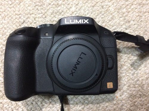 パナソニック LUMIX DMC-G6 （中古）