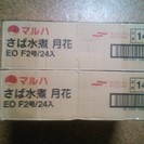 マルハ　月花　さば水煮　6箱セット(１箱24×6＝144個)