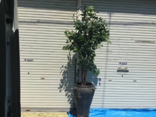 大きな人工観葉植物、造花 210㎝