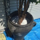 大きな人工観葉植物、造花 210㎝