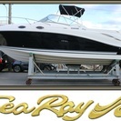 クルーザー　SeaRay　270　AmberJack　船　船舶　...