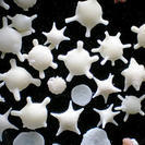 福岡からです！沖縄の星砂*星の形をした可愛い砂。沖縄にしかない貝...