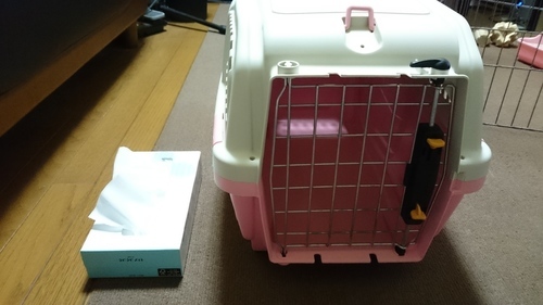 ペット用ハードキャリー（中古）