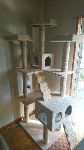 キャットタワー(中古)