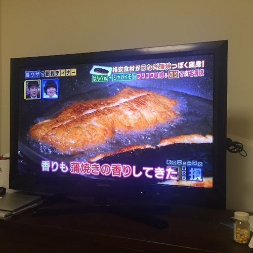 東芝 TOSHIBA 液晶テレビ 37インチ 37ZS1