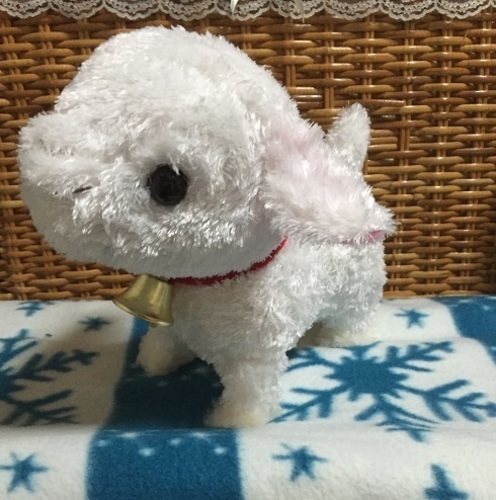 アルプスの少女ハイジとことこユキちゃん キノ 西線9条旭山公園通のおもちゃの中古あげます 譲ります ジモティーで不用品の処分 アルプスの少女ハイジとことこユキちゃん キノ 西線9条旭山公園通のおもちゃの中古あげます 譲ります ジモティーで不用品の処分