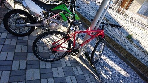 ブリジストン  アンカー