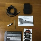 Steinberger Spirit 5弦ヘッドレスベース　★普通弦も使えます★　値をつけてください！