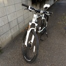 Bianchi KUMA 5100   WHITE/GREY  ビアンキ クマ