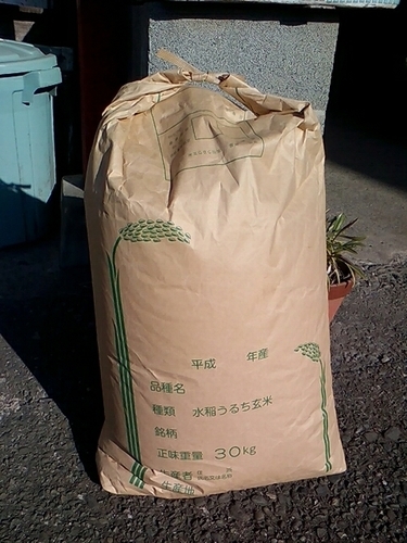 【終了】お米　３０ｋｇ（玄米・精米）\t＊精米の場合は＋５００円