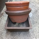植木鉢と小石