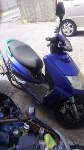 シグナスＳＥ12