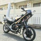 VT250F CBR仕様