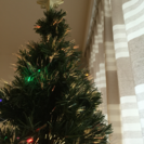 めっちゃ大きなクリスマスツリー！光ファイバーライト