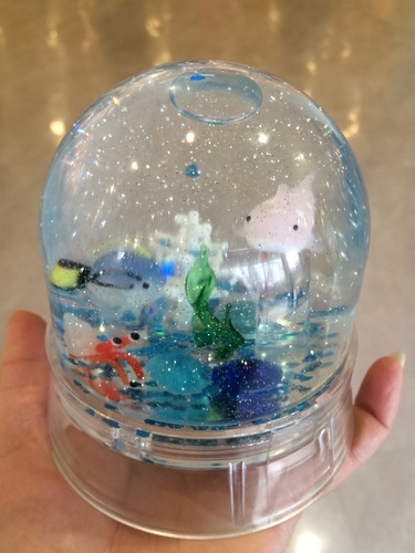 自分だけのオリジナルアクアドームを作ろう Art Plus1 後楽園のワークショップのイベント参加者募集 無料掲載の掲示板 ジモティー
