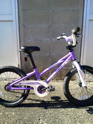 SPECIALIZED HotRock 16 スペシャライズド 子供用16インチ（3～6歳児）