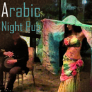 Arabic night pub （ベリーダンスレストランショー）