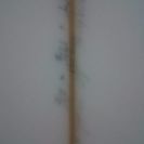 ロックダンスrockdance サーフボード 5´7