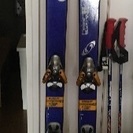 スキー板/サロモン/177cm/TENEIGHTY