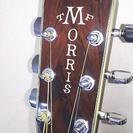 ☆稀少ハカランダ☆TFseries Morris W-50