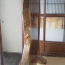 4本が１つとなる 家族団らん衝立になります。