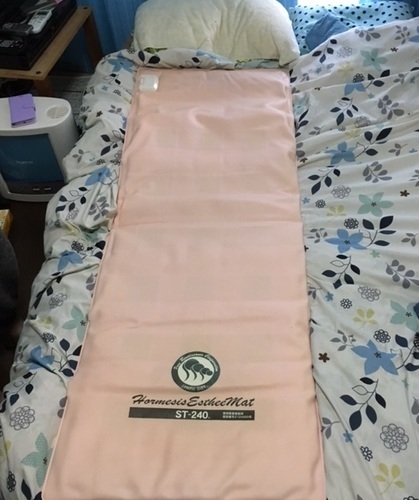Hormesis EstheeMat ST-240 ピンク