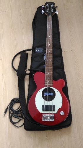 中古美品 ピグノーズ ベース レッド ソフトケース、シールド付