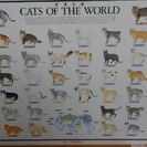 犬の系統図世界の猫壁かけ板状ポスター うえ 帯広のインテリア雑貨 小物 その他 の中古あげます 譲ります ジモティーで不用品の処分