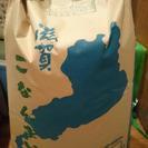 【交渉中】近江米　キヌヒカリ　玄米　30kg