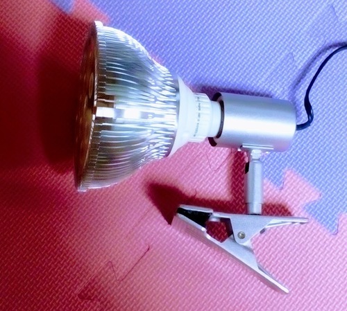 LED２４W