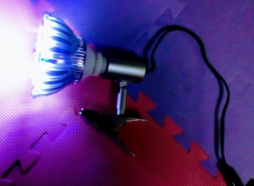 LED２４W