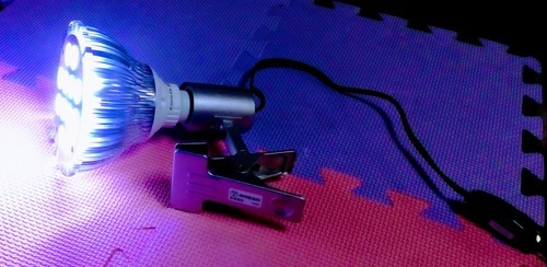 LED２４W