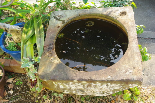 今では珍しい天然石の水鉢