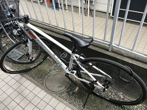 MERIDAメリダ　白