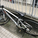 MERIDAメリダ　白