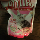 子猫 粉ミルク！