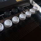 インドの電子大正琴　「ブルブルタラング」　エレキギターをやっている方にもおすすめです