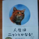 猫の可愛い写真と　格言の本です　
