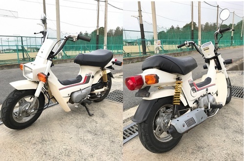■CF50 シャリー  角目 車高短 6V 実働車両  低走行  カスタムベース■