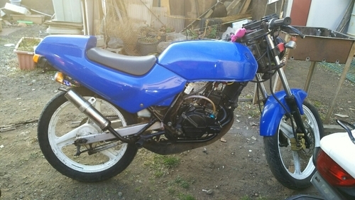 NS50F キック始動!走ります!チェーンRK新品!　走り屋仕様！NS-1?NSR?　ホンダ　エイプ?モンキー?値下げ交渉あり！